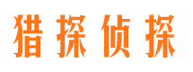 陆丰寻人公司